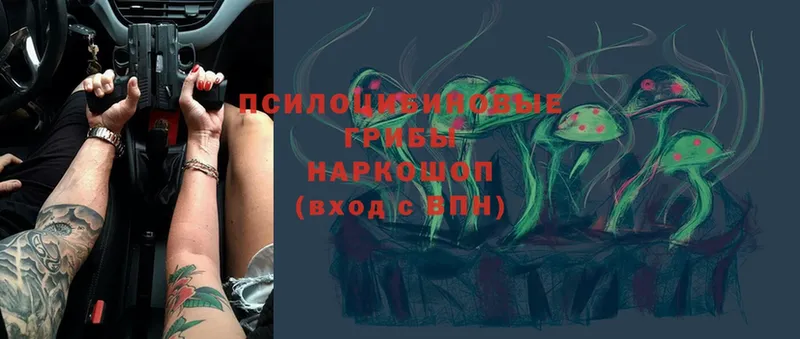 Псилоцибиновые грибы мицелий  Нахабино 